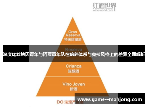 深度比较埃因青年与阿贾青年队在培养体系与竞技风格上的差异全面解析