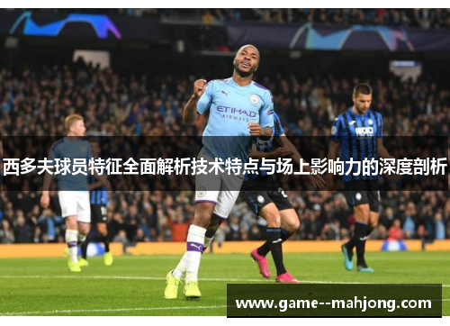 西多夫球员特征全面解析技术特点与场上影响力的深度剖析
