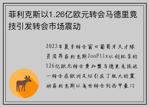 菲利克斯以1.26亿欧元转会马德里竞技引发转会市场震动